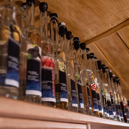 게스트하우스 호텔-가스트호프 암 리에들