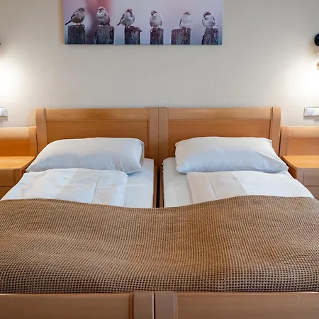 فندق-غاستهوف أم ريدل 3* Koppl