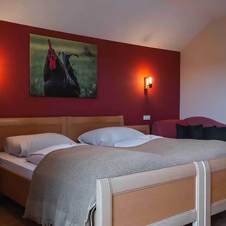 فندق-غاستهوف أم ريدل 3* Koppl