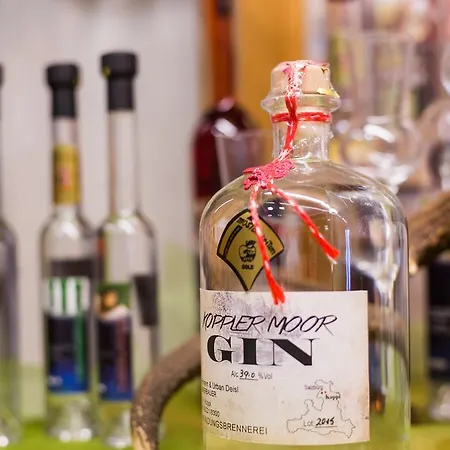 호텔-가스트호프 암 리에들