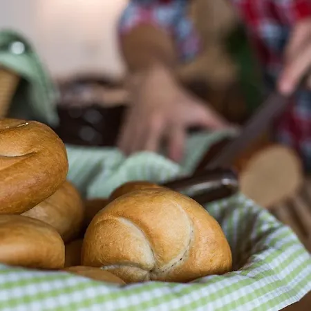 게스트하우스 호텔-가스트호프 암 리에들 코플