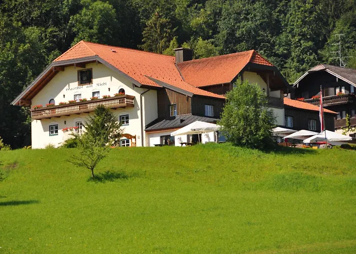 Hotel-gasthof Am Riedl 3*